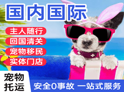 永川大安国际宠物托运 【国